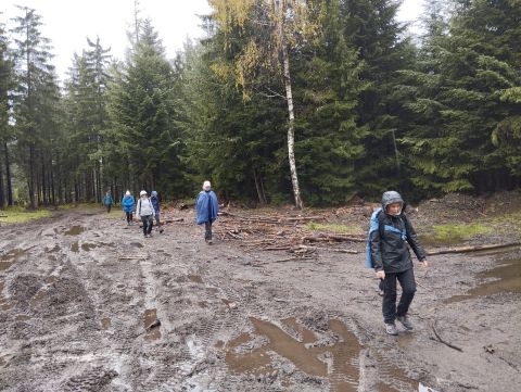 Wycieczka Góry Orlickie s72 - PTTK Strzelin