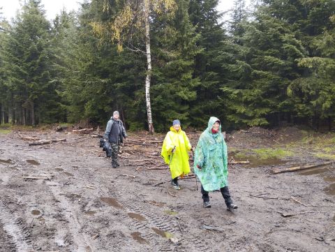 Wycieczka Góry Orlickie s77 - PTTK Strzelin