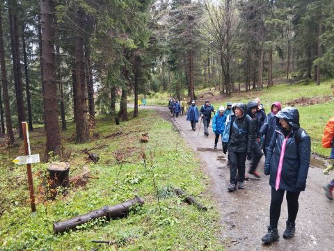 Wycieczka Góry Orlickie s82 - PTTK Strzelin