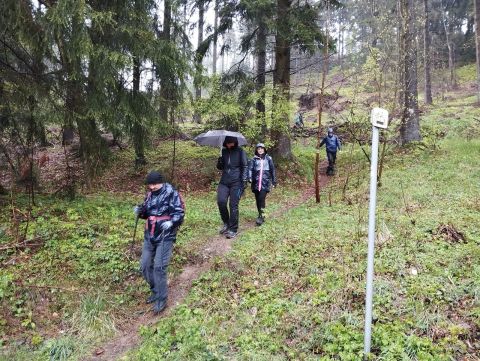 Wycieczka Góry Orlickie s84 - PTTK Strzelin