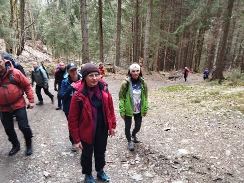 Wycieczka Orlické hory s14 - PTTK Strzelin