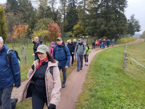 Wycieczka Podorlická pahorkatina s10 - PTTK Strzelin