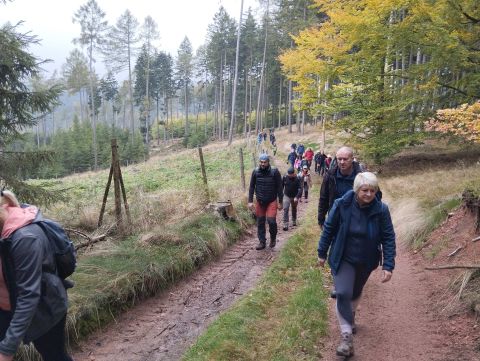 Wycieczka Podorlická pahorkatina s20 - PTTK Strzelin