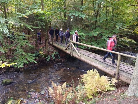 Wycieczka Podorlická pahorkatina s29 - PTTK Strzelin