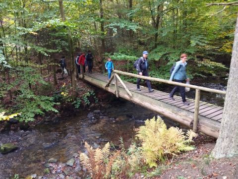 Wycieczka Podorlická pahorkatina s31 - PTTK Strzelin