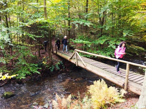 Wycieczka Podorlická pahorkatina s34 - PTTK Strzelin