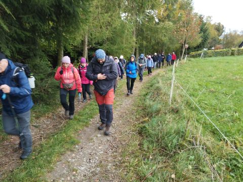 Wycieczka Podorlická pahorkatina s45 - PTTK Strzelin
