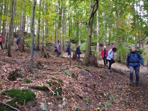 Wycieczka Podorlická pahorkatina s64 - PTTK Strzelin