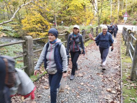 Wycieczka Podorlická pahorkatina s80 - PTTK Strzelin