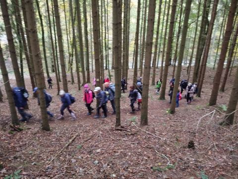 Wycieczka Podorlická pahorkatina s82 - PTTK Strzelin