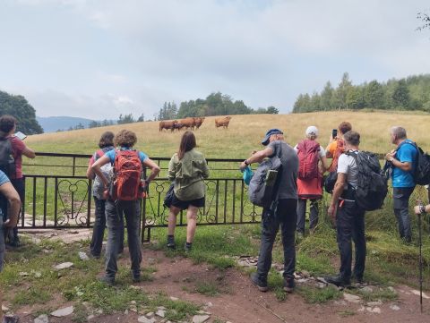Wycieczka w Pogórze Orlickie s18 - PTTK Strzelin