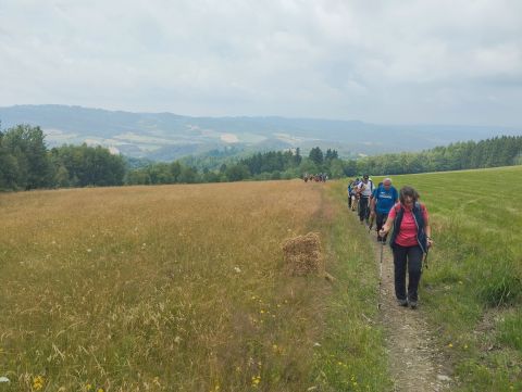 Wycieczka w Pogórze Orlickie s27 - PTTK Strzelin