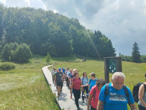 Wycieczka w Pogórze Orlickie s61 - PTTK Strzelin