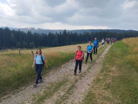 Wycieczka w Pogórze Orlickie s64 - PTTK Strzelin