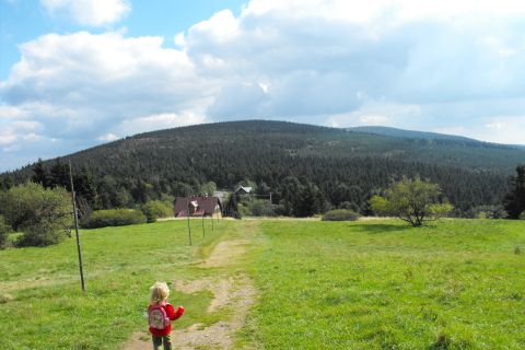 G�ry Orlickie - Ma�a Desztna i Wielka Desztna s001 - PTTK Strzelin