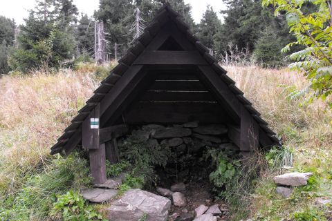 �r�de�ko pod Wielk� Desztn� - studánka Pod Velkou Detnou s018 - PTTK Strzelin