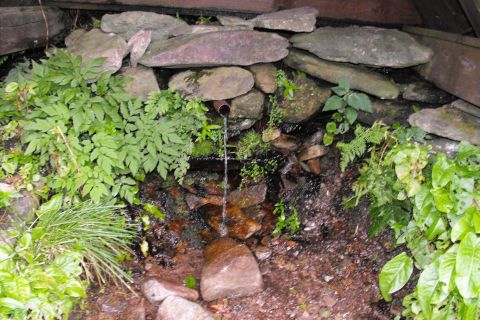 �r�de�ko pod Wielk� Desztn� - studánka Pod Velkou Detnou s019 - PTTK Strzelin