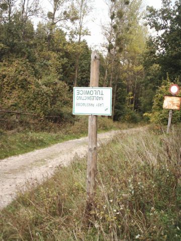 XVI Rajd Wzg�rz Strzeli�skich - wej�cie do lasu od strony Sulis�awia s033 - PTTK Strzelin