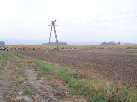 XVII Rajd Wzg�rz Strzeli�skich - ko�o Stru�yny s007 - PTTK Strzelin