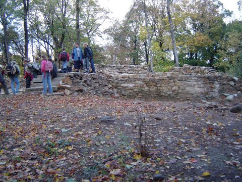 XVII Rajd Wzg�rz Strzeli�skich - Gromnik s020 - PTTK Strzelin