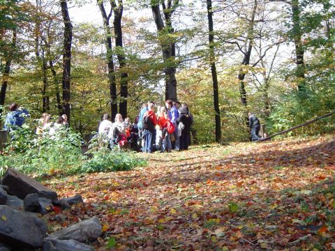 XVII Rajd Wzg�rz Strzeli�skich - Gromnik s021 - PTTK Strzelin