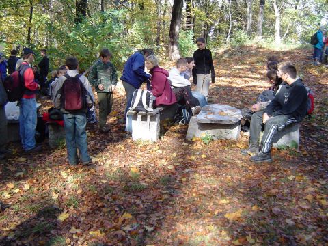 XVII Rajd Wzg�rz Strzeli�skich - Gromnik s025 - PTTK Strzelin