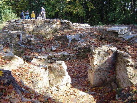 XVII Rajd Wzg�rz Strzeli�skich - Gromnik s031 - PTTK Strzelin