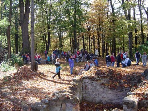 XVII Rajd Wzg�rz Strzeli�skich - Gromnik s032 - PTTK Strzelin