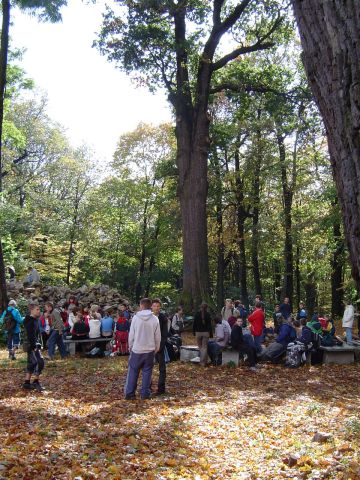 XVII Rajd Wzg�rz Strzeli�skich - Gromnik s036 - PTTK Strzelin