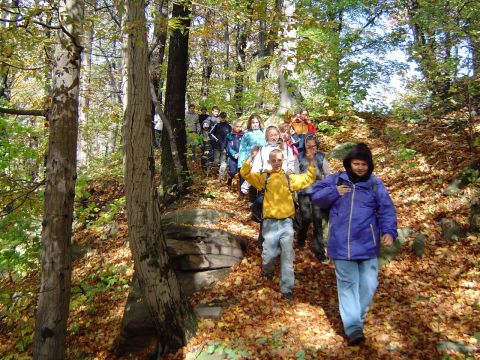 XVII Rajd Wzg�rz Strzeli�skich - zej�cie z Gromnika s040 - PTTK Strzelin