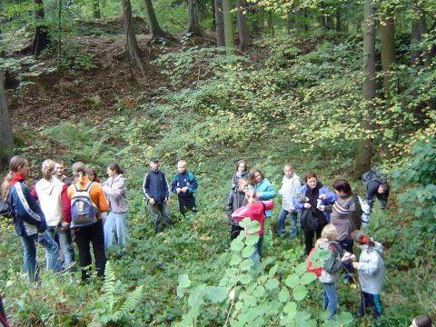 XVII Rajd Wzg�rz Strzeli�skich - Skrzy�owanie pod D�bem s064 - PTTK Strzelin