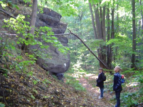 XVIII Rajd Wzg�rz Strzeli�skich - W�w�z Piekie�ko s005 - PTTK Strzelin