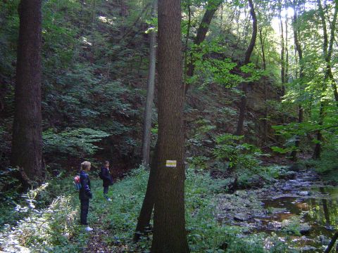 XVIII Rajd Wzg�rz Strzeli�skich - W�w�z Piekie�ko s011 - PTTK Strzelin