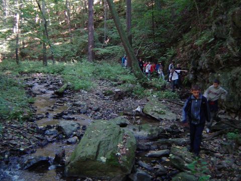 XVIII Rajd Wzg�rz Strzeli�skich - W�w�z Piekie�ko s012 - PTTK Strzelin