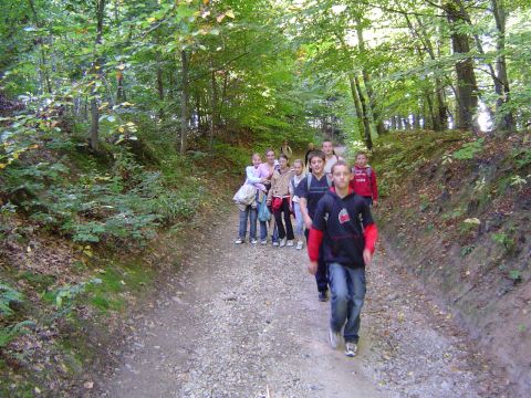 XVIII Rajd Wzg�rz Strzeli�skich - zej�cie do Gaj�wki Borowe s031 - PTTK Strzelin