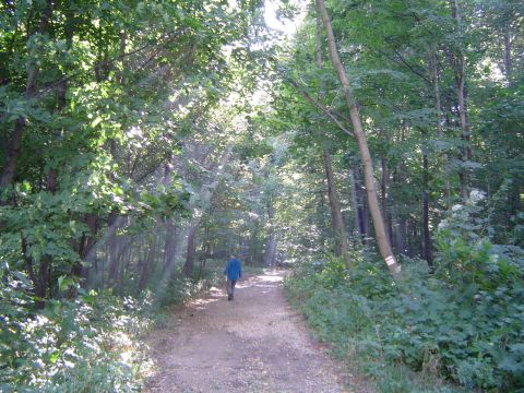 XVIII Rajd Wzg�rz Strzeli�skich - ko�o my�liwskiej chaty s036 - PTTK Strzelin