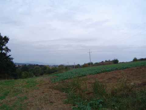 XVIII Rajd Wzg�rz Strzeli�skich - w okolicy Kowalskich s054 - PTTK Strzelin