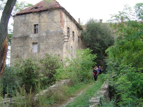 XVIII Rajd Wzg�rz Strzeli�skich - zamek w Nieszkowicach s058 - PTTK Strzelin