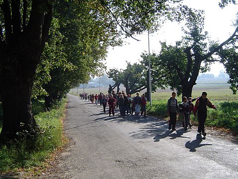 W drodze do Siemis�awic