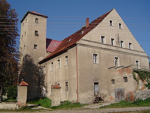 Siemis�awice - zamek