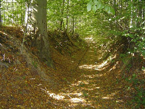 W�w�z ko�o Ostr�nej