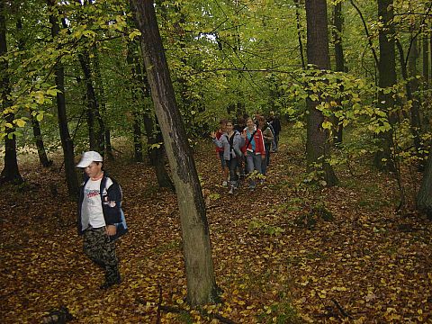 XX Rajd Wzg�rz Strzeli�skich s053 - PTTK Strzelin