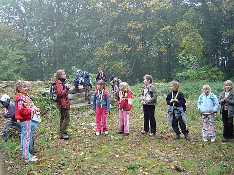 XX Rajd Wzg�rz Strzeli�skich - Gromnik s105 - PTTK Strzelin