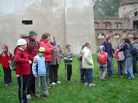 XX Rajd Wzg�rz Strzeli�skich - Witostowice - zamek s017 - PTTK Strzelin