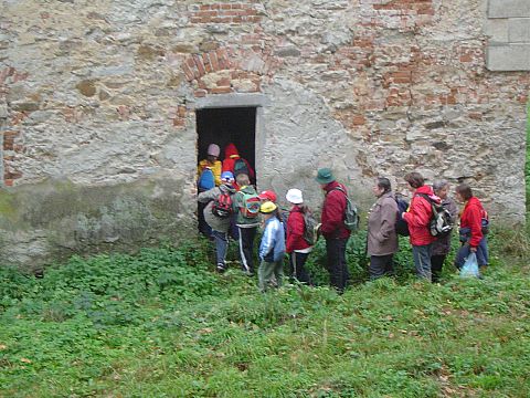 XX Rajd Wzg�rz Strzeli�skich - Witostowice - zamek s031 - PTTK Strzelin