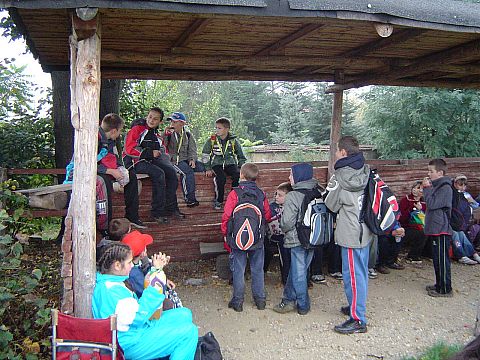 XX Rajd Wzg�rz Strzeli�skich - Nowolesie s040 - PTTK Strzelin