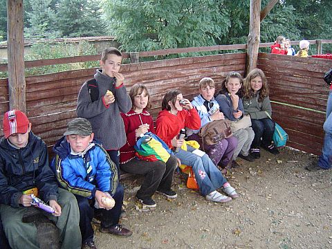 XX Rajd Wzg�rz Strzeli�skich - Nowolesie s042 - PTTK Strzelin