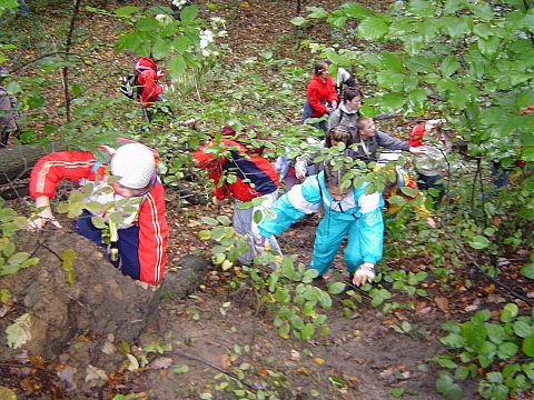 XX Rajd Wzg�rz Strzeli�skich - podej�cie na Nowolesk� Kop� s061 - PTTK Strzelin