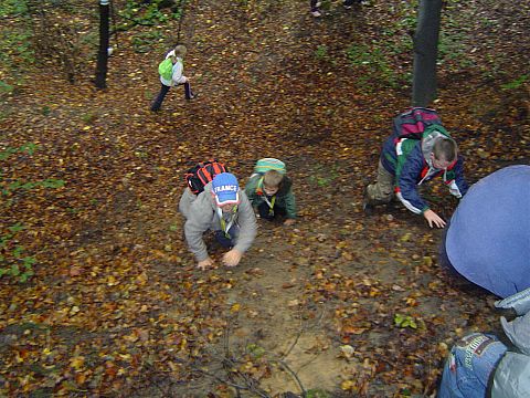 XX Rajd Wzg�rz Strzeli�skich - podej�cie na Nowolesk� Kop� s062 - PTTK Strzelin