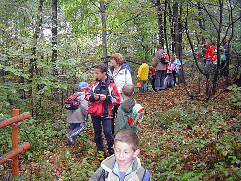 XX Rajd Wzg�rz Strzeli�skich - podej�cie na Nowolesk� Kop� s063 - PTTK Strzelin